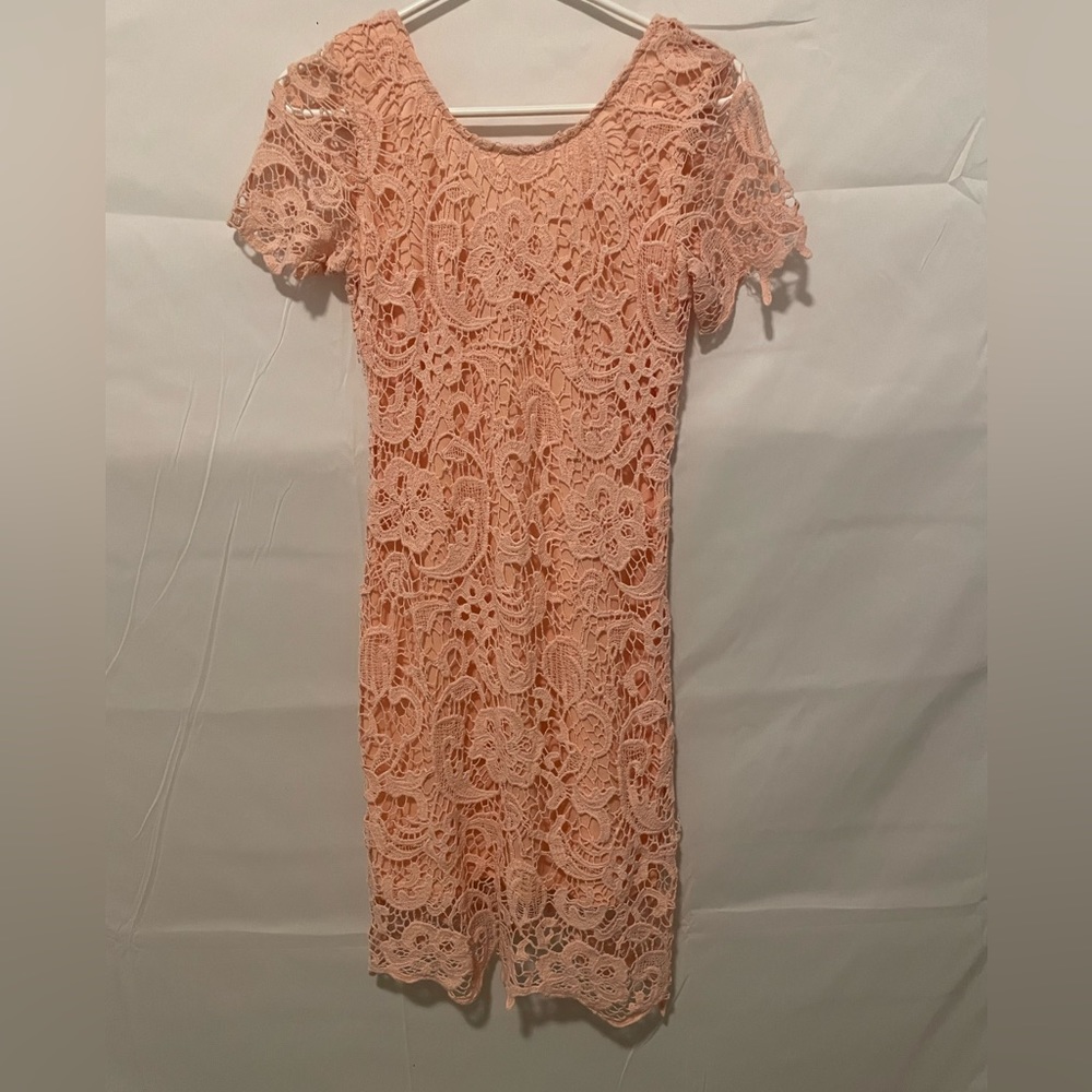 🌟HP🌟Ezra Pink Lace Overlay Dress Size S